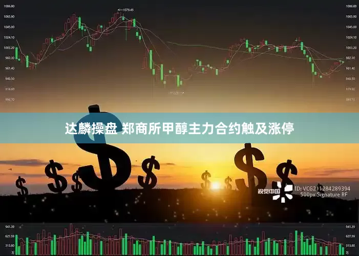 达麟操盘 郑商所甲醇主力合约触及涨停
